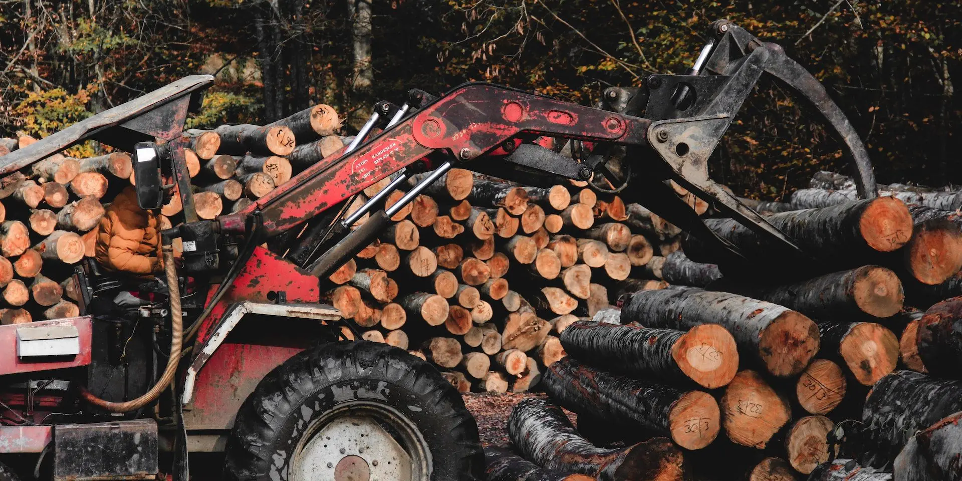 Deforestation Inc: Canada is a 'world laggard' in sustainable