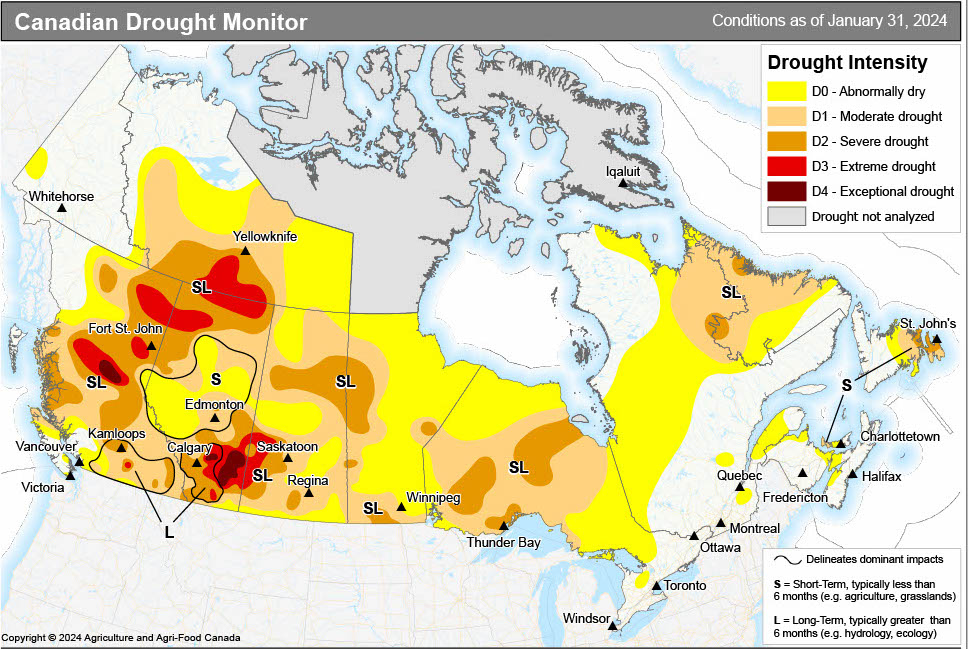 Saskatoon activates extreme cold weather emergency response plan