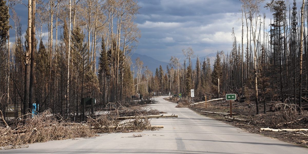 Jasper National Park