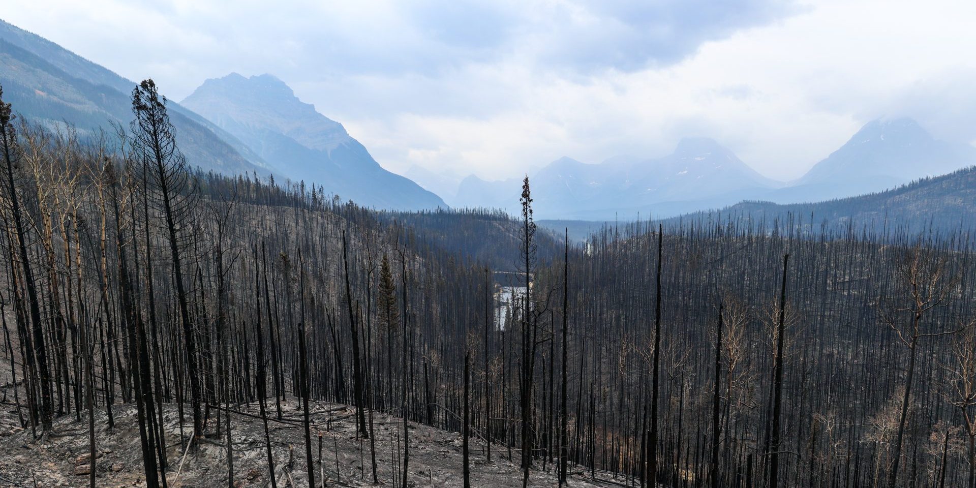 Jasper National Park